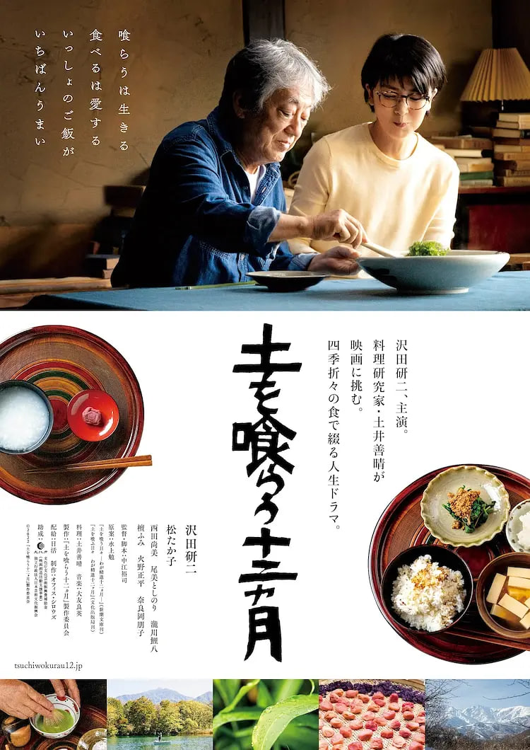 吃土的十二个月